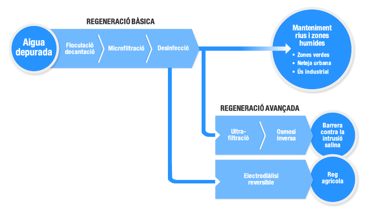 Regeneració bàsica